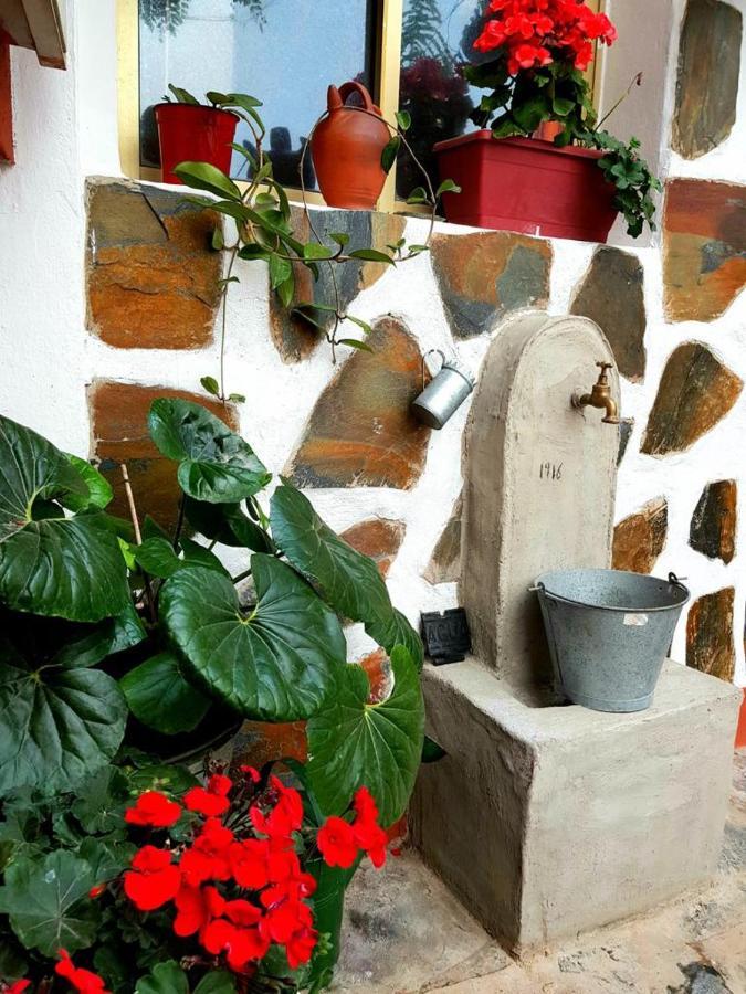 Vivienda Vacacional Ca Na Paula La Orotava Exterior photo