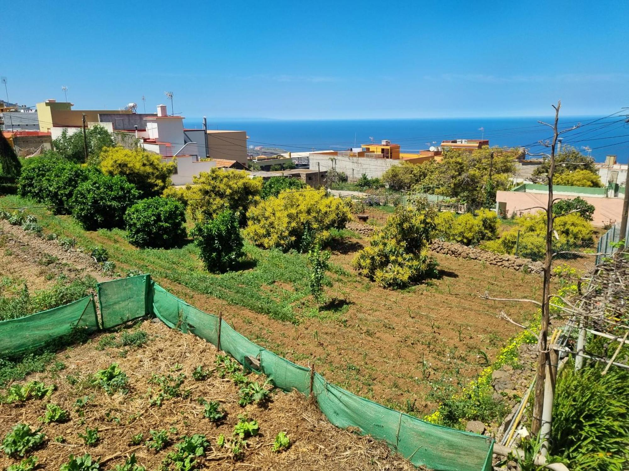 Vivienda Vacacional Ca Na Paula La Orotava Exterior photo