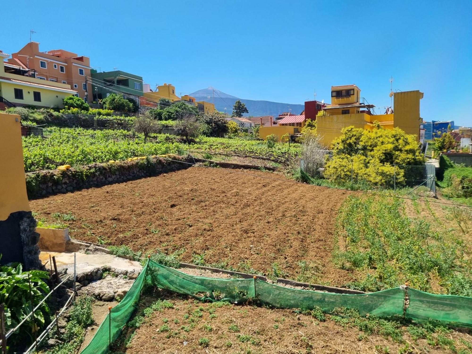 Vivienda Vacacional Ca Na Paula La Orotava Exterior photo